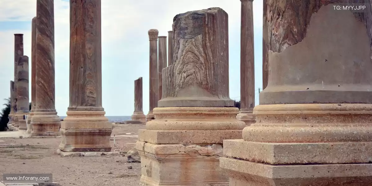 🔧 轻松挖掘,缩短工期提高收益 💰